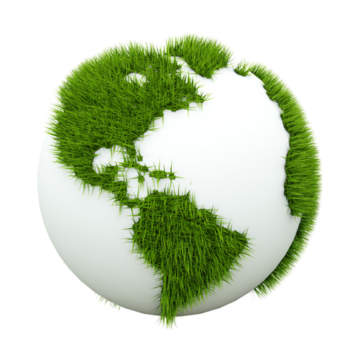 Biodegradability & Sustainability